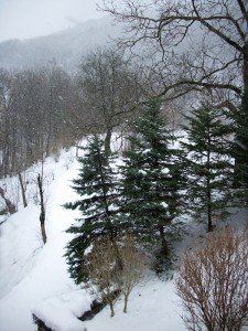 neige-tolmin-eslovenie