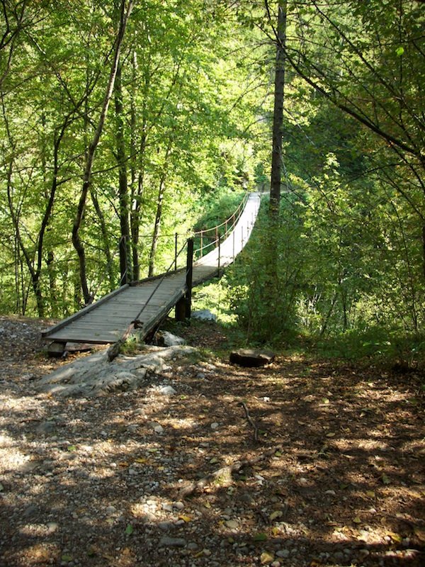 pont-bois-soca