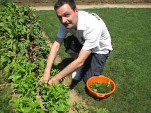 frtalja-jardin-herbes